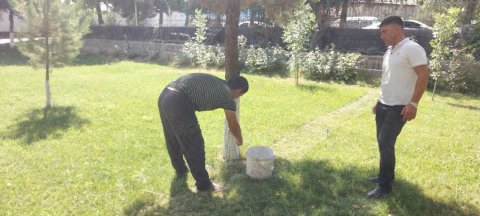 Tuman hokimi texnikumdagi obodonlashtirish ishlari bilan tanishdi